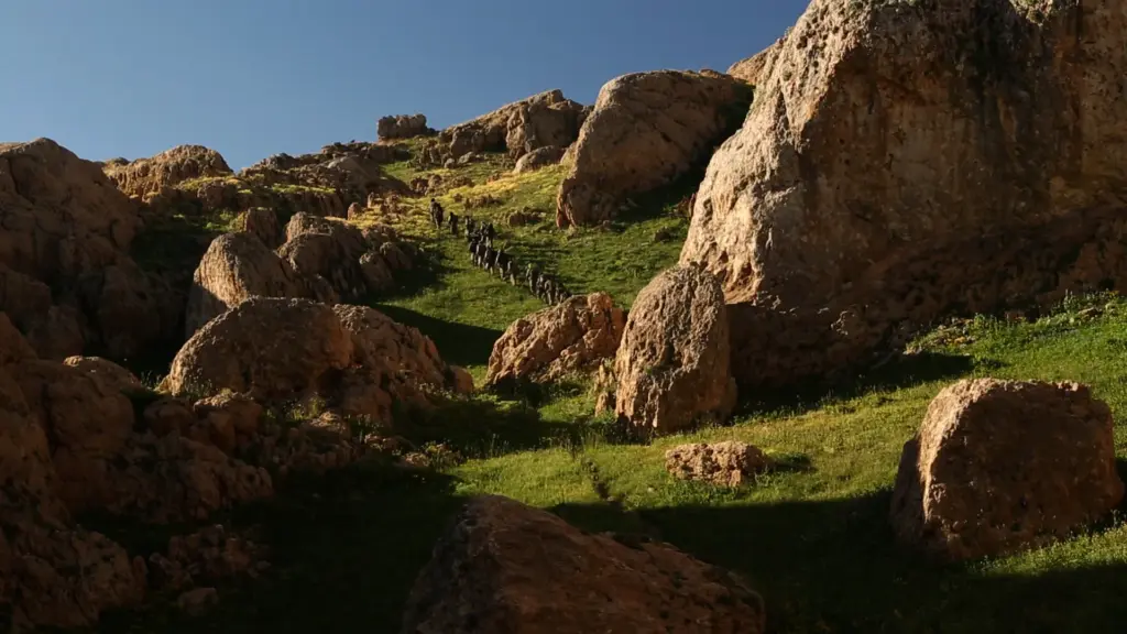 Bakur (Kuzey) filminden kare