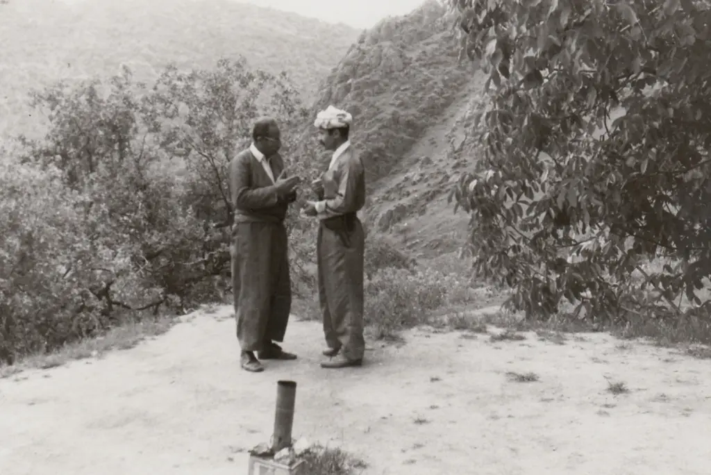 Dr. Şivan filminden kare