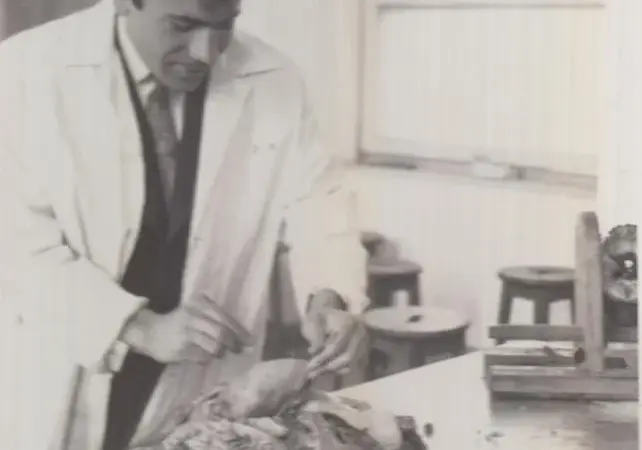 Dr. Şivan filminden kare